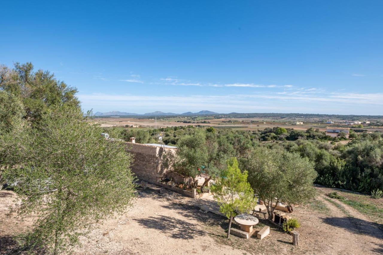 Son Pusseta Petra (Mallorca) Exterior foto